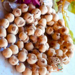 Pure Tulsi Japa Mala 108 Tulsi Beads
