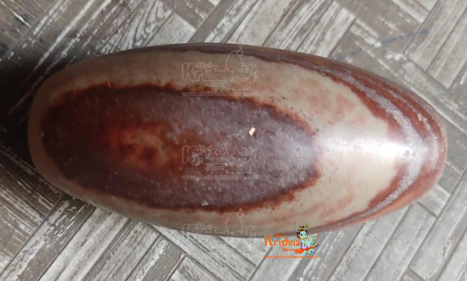 Narmadeshwar Shaligram Shivling Energised Natural Narmada Stone
