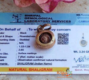 Shaligram Pendant | Chakra Pendant | Natural & Original Shaligram Pendant For Men & Women