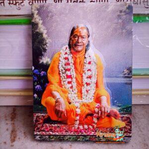Jagadguru Shri Kripalu Ji Maharaj Magnetic Photo Frame