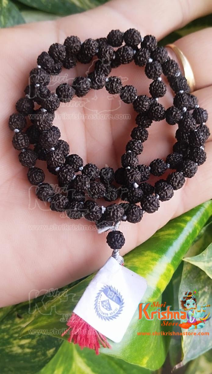 Certified 5 Mukhi Black Rudraksha Mala 5mm Beads for jap and Neck