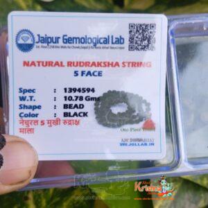 Certified 5 Mukhi Black Rudraksha Mala 5mm Beads for jap and Neck