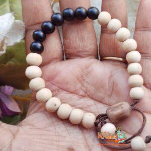 shaligram with tulsi