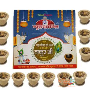 Shop Guggal Cup Loban Cup Dhoop Cow Cone Grahshanti Cup-Pack of Two