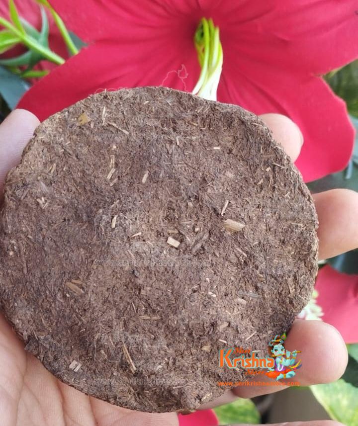 Original Holy Desi Cow Dung Cake for Pooja Havan Gobar Ke Uple Kande Kandhe Kanda