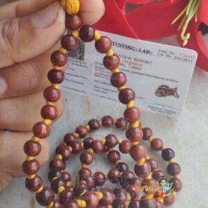 Rakt Chandan / red sandal wood japa mala – Premium