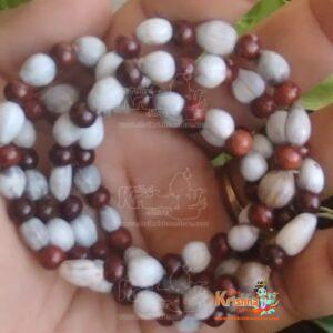 Vaijayanti With Red Chandan Kanthi Mala For Men & Women