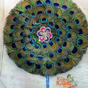 Peacock Fan
