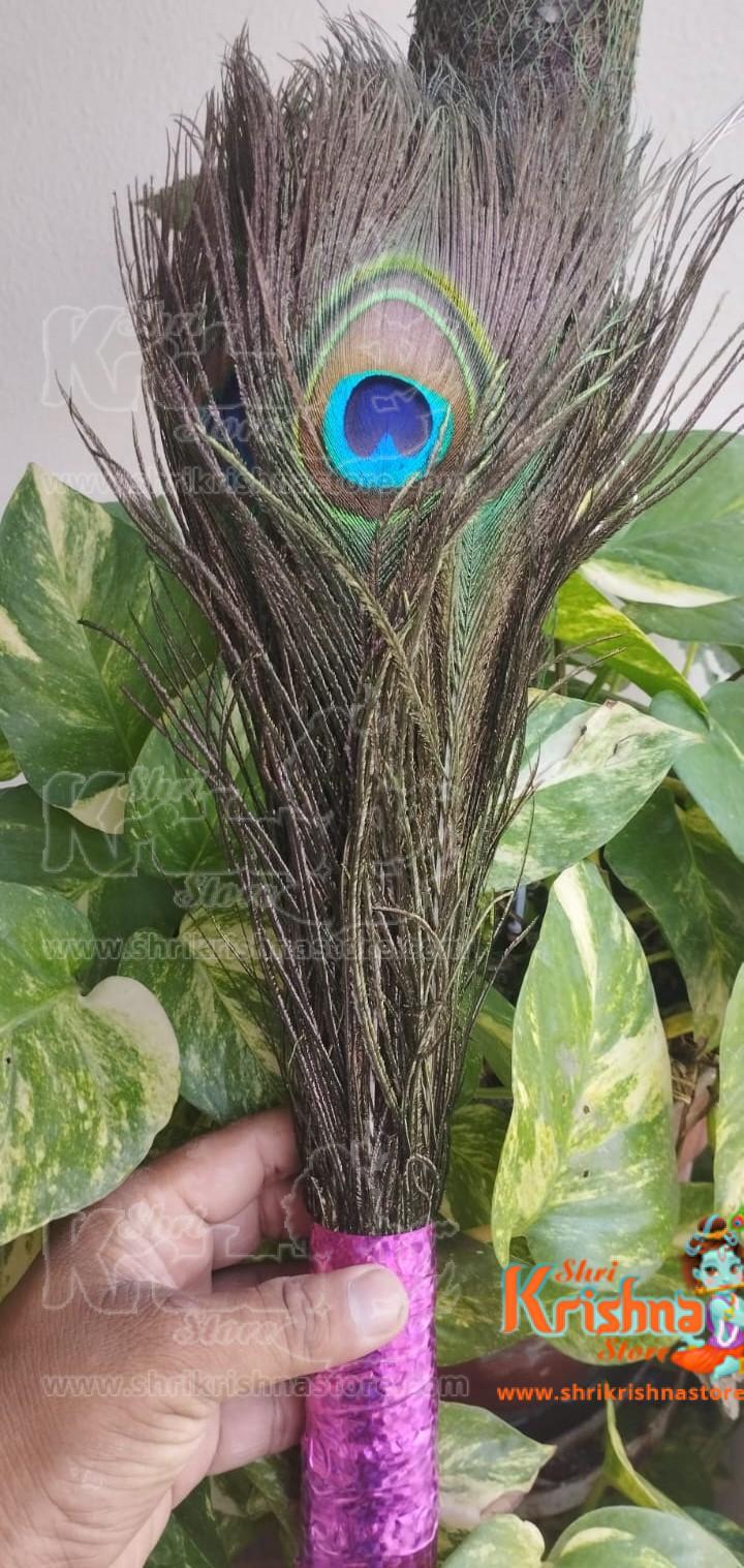 Peacock Feathere Zhadu (5 piece Long Groom)