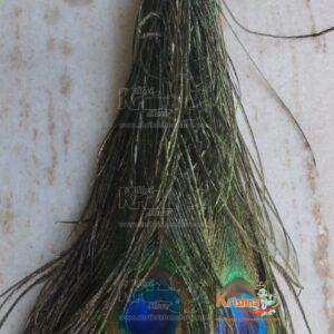 Peacock Feathere Zhadu (5 piece Long Groom)