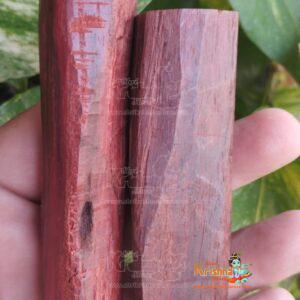Red Sandalwood Stick Natural Chandan Sticks Lal Chandan Lakdi for Religious Usage and Healing Purpose