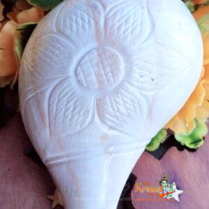 Original Vamavarti Blowing Shankh