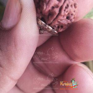ganesh1