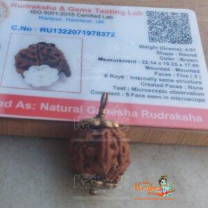ganesh1