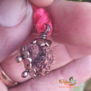 Gauri Ganesha Rudraksha Nepal Bead | Lab Tested
