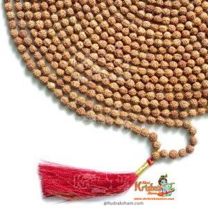 1008 Beads 5 Mukhi Rudraksha Mala