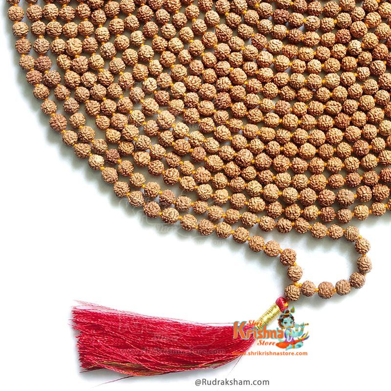 1008 Beads 5 Mukhi Rudraksha Mala