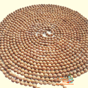 1008 Beads 5 Mukhi Rudraksha Mala