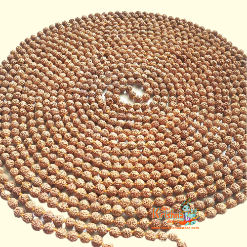 1008 Beads 5 Mukhi Rudraksha Mala