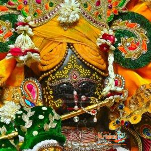 Shri Radhavallabh Lal Ji, Vrindavan Prasadi Sewa