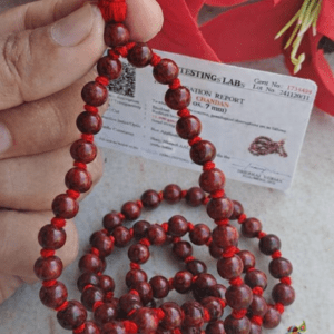 Rakt Chandan / red sandal wood japa mala – Premium