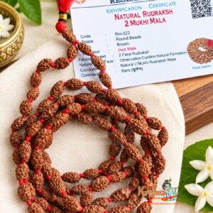 Buy 2 Mukhi Rudraksha Mala -lab Certified, 108 Mala Beads, 2 Mukhi Rudraksha Necklace, Prayer Mala